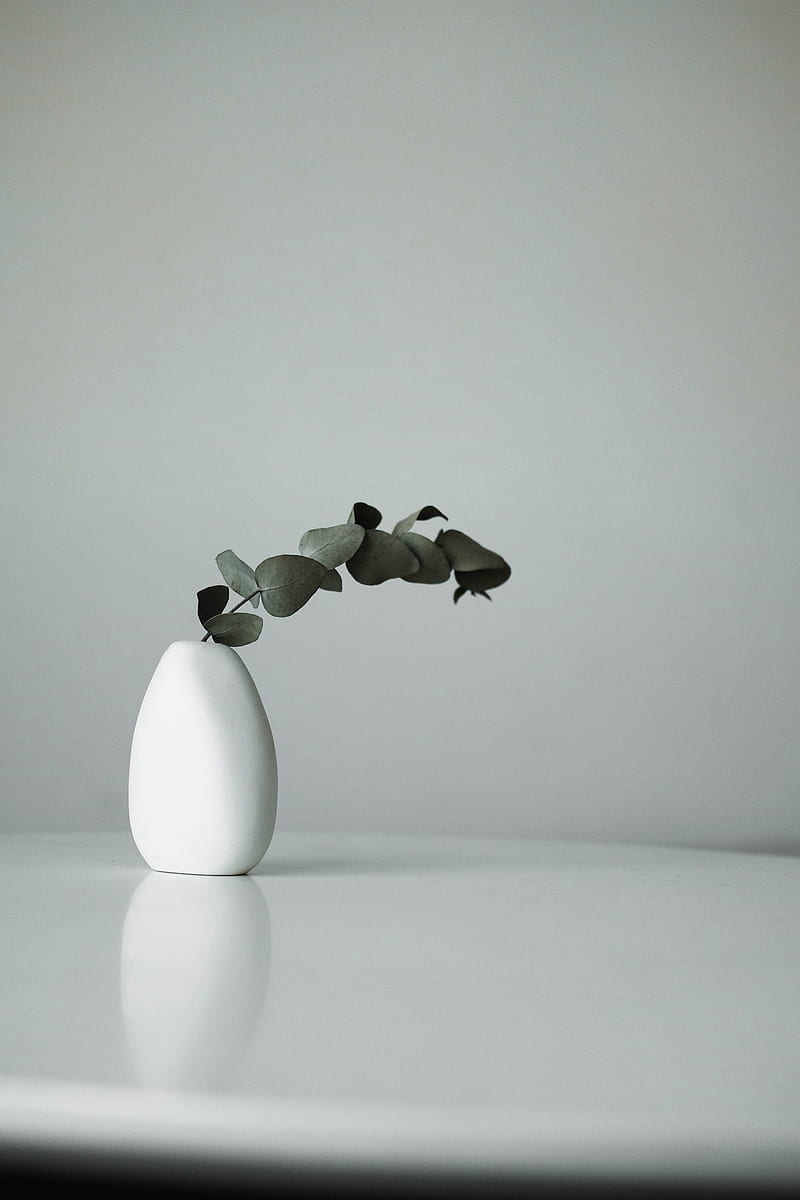 white ceramic vase with flower, HD phone wallpaper