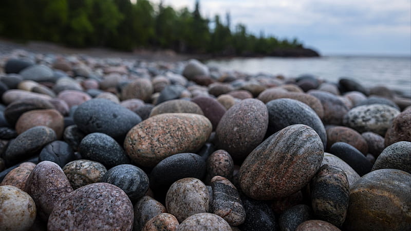 Closeup View Of Shore Stones Pebbles Blur Trees River Background Nature, HD wallpaper