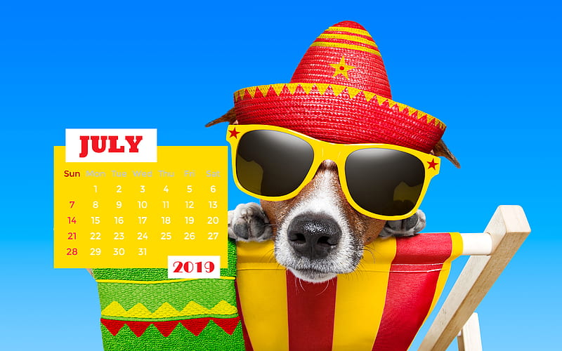 July 2019 Calendar summer, funny dog, 2019 calendar, July 2019, creative, July 2019 calendar with dog, Calendar July 2019, dog on beach, 2019 calendars, HD wallpaper