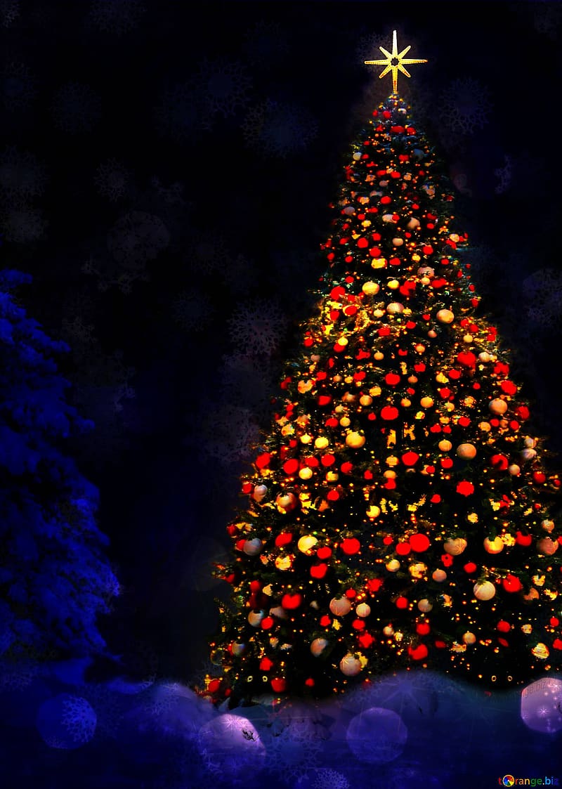Christmas Tree Vertical, HD phone wallpaper | Peakpx