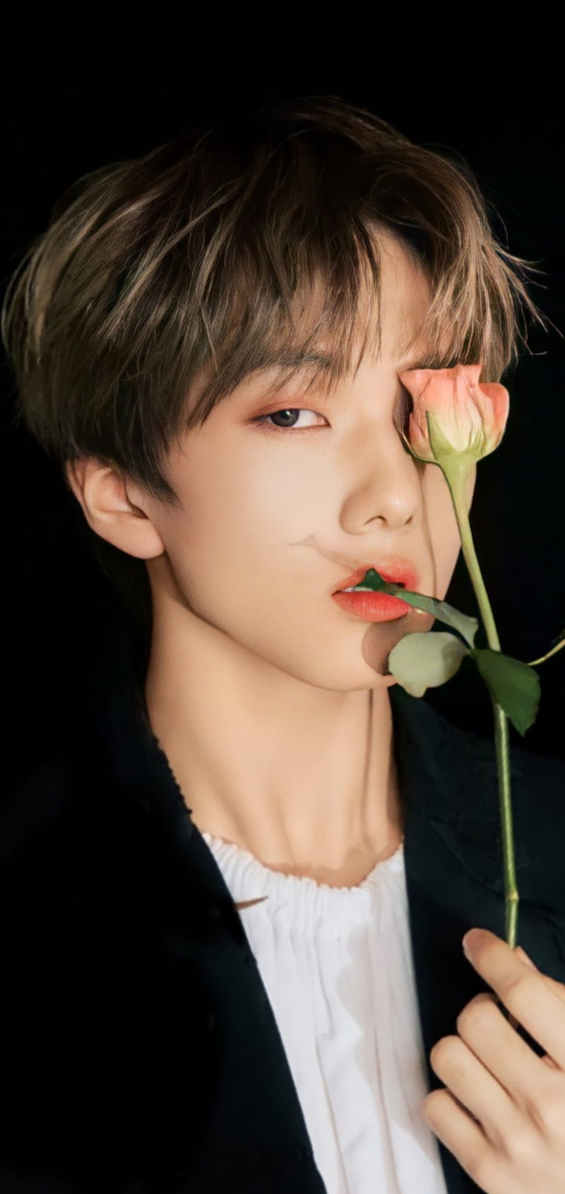 Jisung, handsome, nct dream, kpop, black, dark, rose, nct, HD phone wallpaper