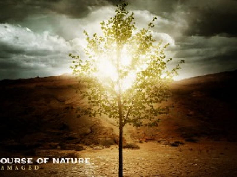 Course of nature - damaged, tree, darkness, sunlight, nature, clouds, arid ground, HD wallpaper