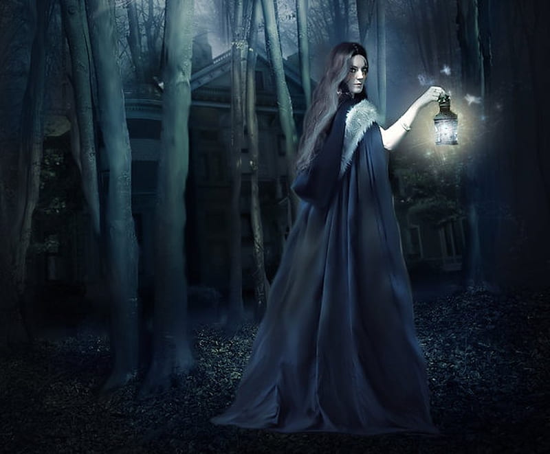 The Mystery, forest, lantern, woods, bonito, woman, fantasy, girl, dark, night, HD wallpaper