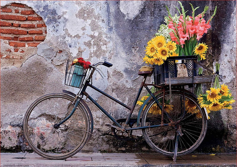Bicycle with flowers, vara, yellow, flower, summer, bicycle, bike, wall, pink, HD wallpaper