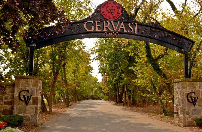 Gervasi Vineyard, vineyard, winery, gervasi, HD wallpaper