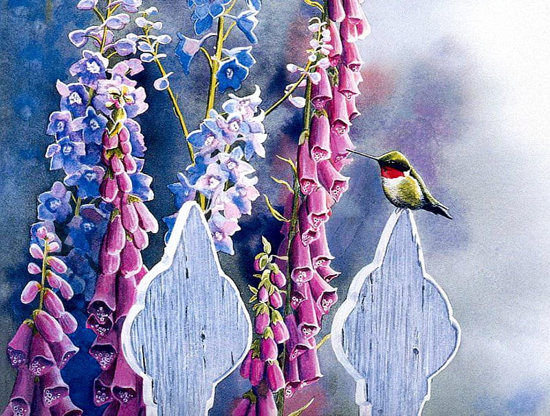 Hummi on Fence, painting, foxglove, flowers, blossoms, hummingbird, artwork, HD wallpaper
