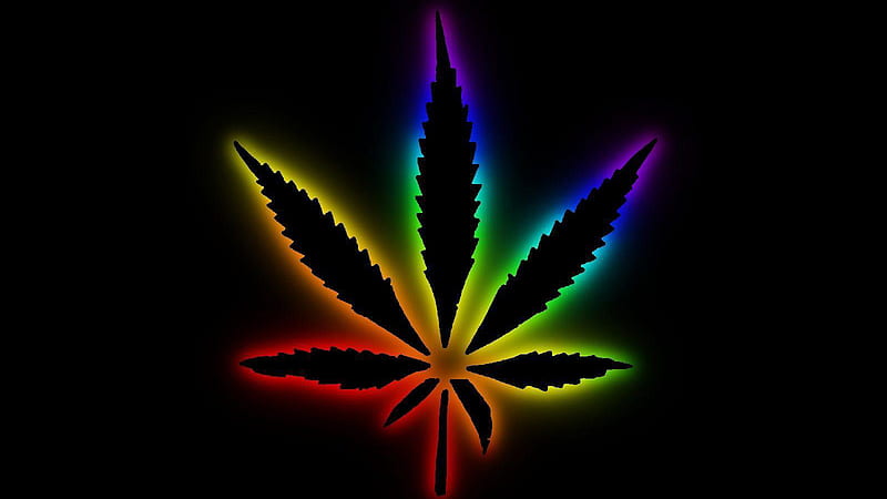 Weed Wallpapers HD  Wallpaper Cave