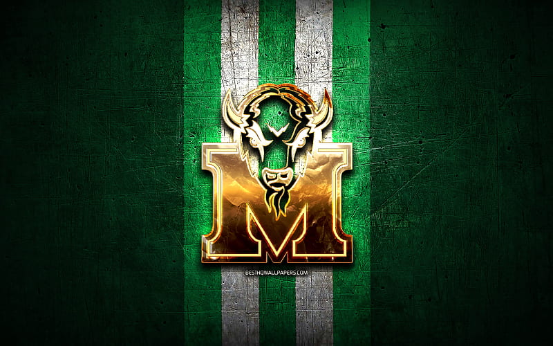 Marshall Thundering Herd, golden logo, NCAA, green metal background, american football club, Marshall Thundering Herd logo, american football, USA, HD wallpaper