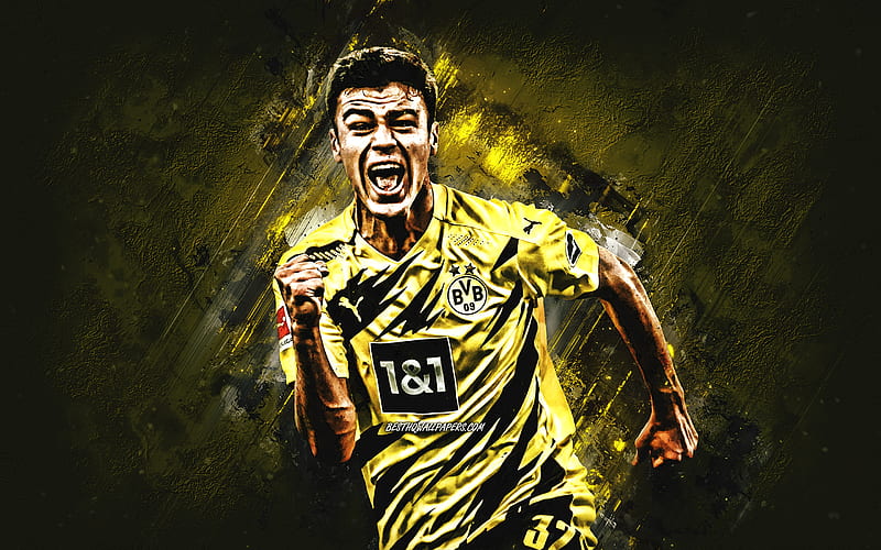 Giovanni Reyna, Borussia Dortmund, American football player, attacking  midfielder, HD wallpaper