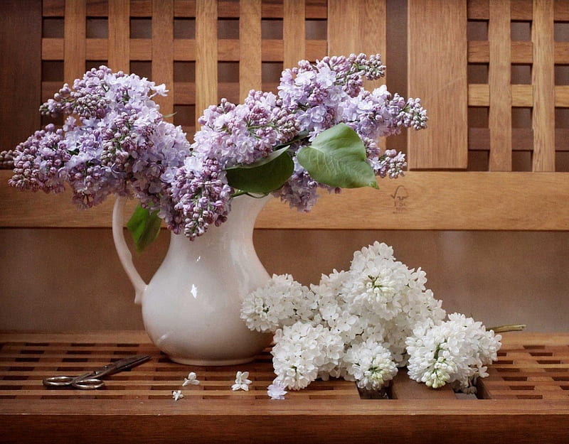 Sweet lilacs, aromatic, still life, purple, bouquet, flowers, vase, white, lilacs, HD wallpaper