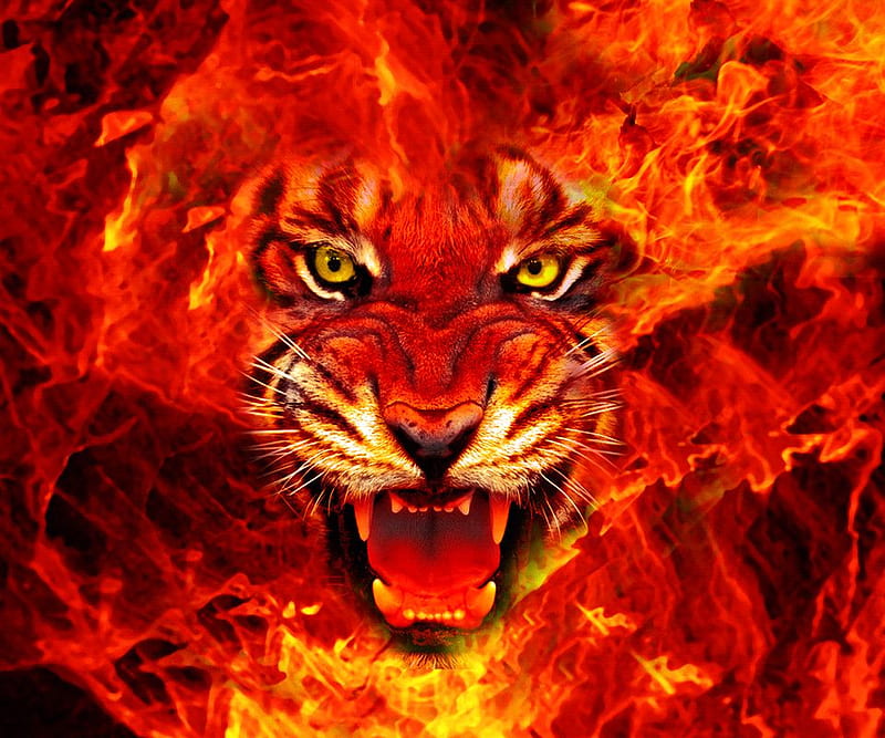 FIRE LION KING, red, fire, life, orange, wild, lion, HD wallpaper