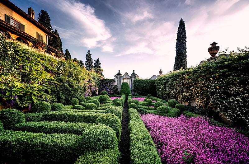 Villa Capponi, hedges, house, boxwood, blossoms, garden, HD wallpaper