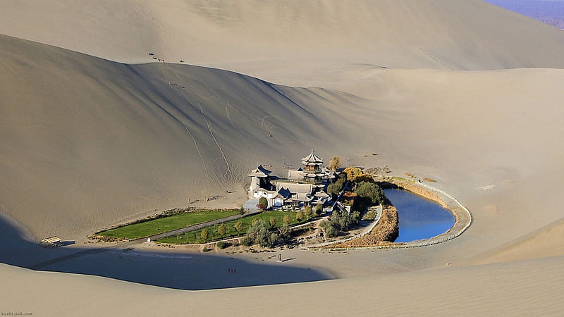 gobi desert oasis, house, desert, dunes, oasis, pool, HD wallpaper