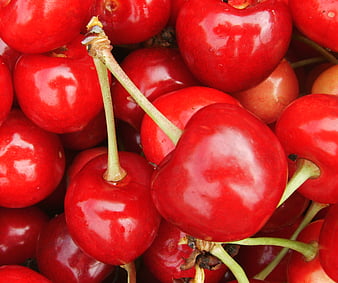 Cheries, fruit, red, HD wallpaper