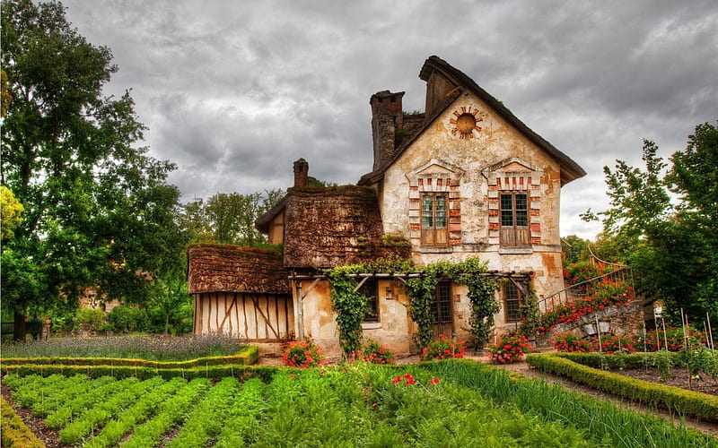 old cottage, garden, flowers, france, HD wallpaper