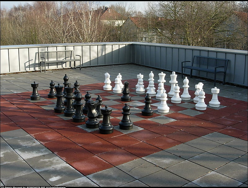 Autumn chess, autumn, black, popular, white, chess, esports, HD wallpaper