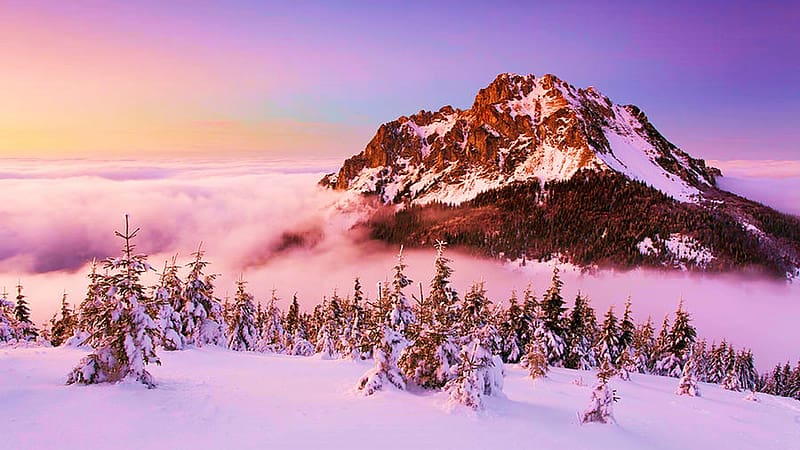 Rozsutec Peak, Mala Fatra NP, Slovakia, winter, snow, colors, landscape, trees, sky, sunset, HD wallpaper