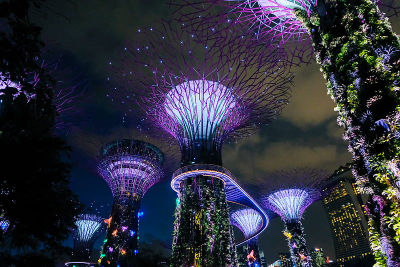 Gardens by the Bay, Singapore, HD wallpaper