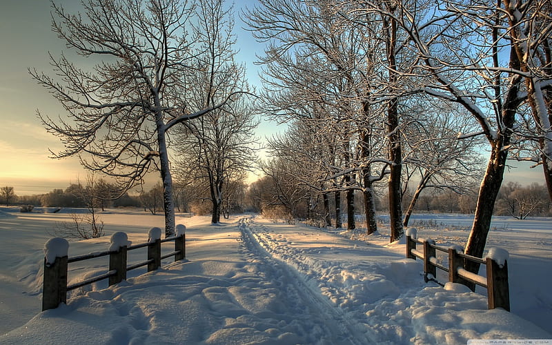 Beautiful Snowy Country Road, rural, road, snow, winter, HD wallpaper