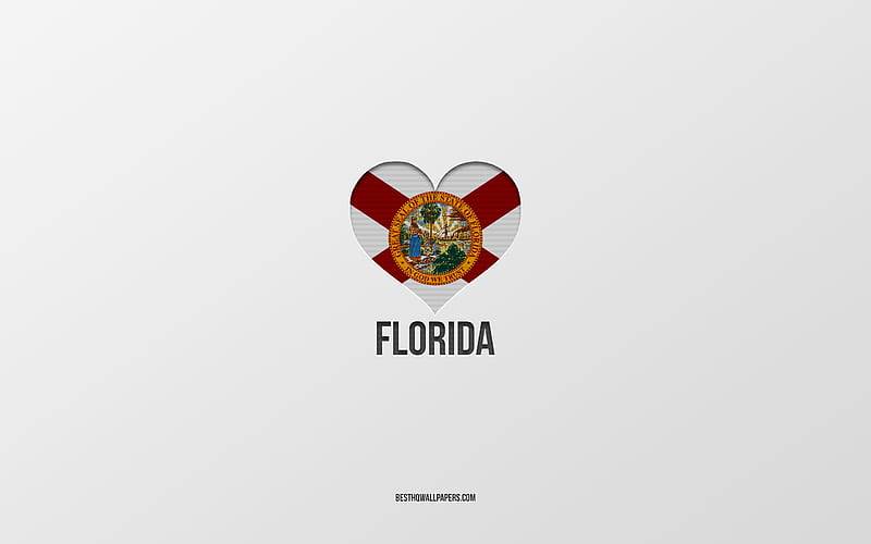 I Love Florida, American States, gray background, Florida State, USA, Florida flag heart, favorite cities, Love Florida, HD wallpaper