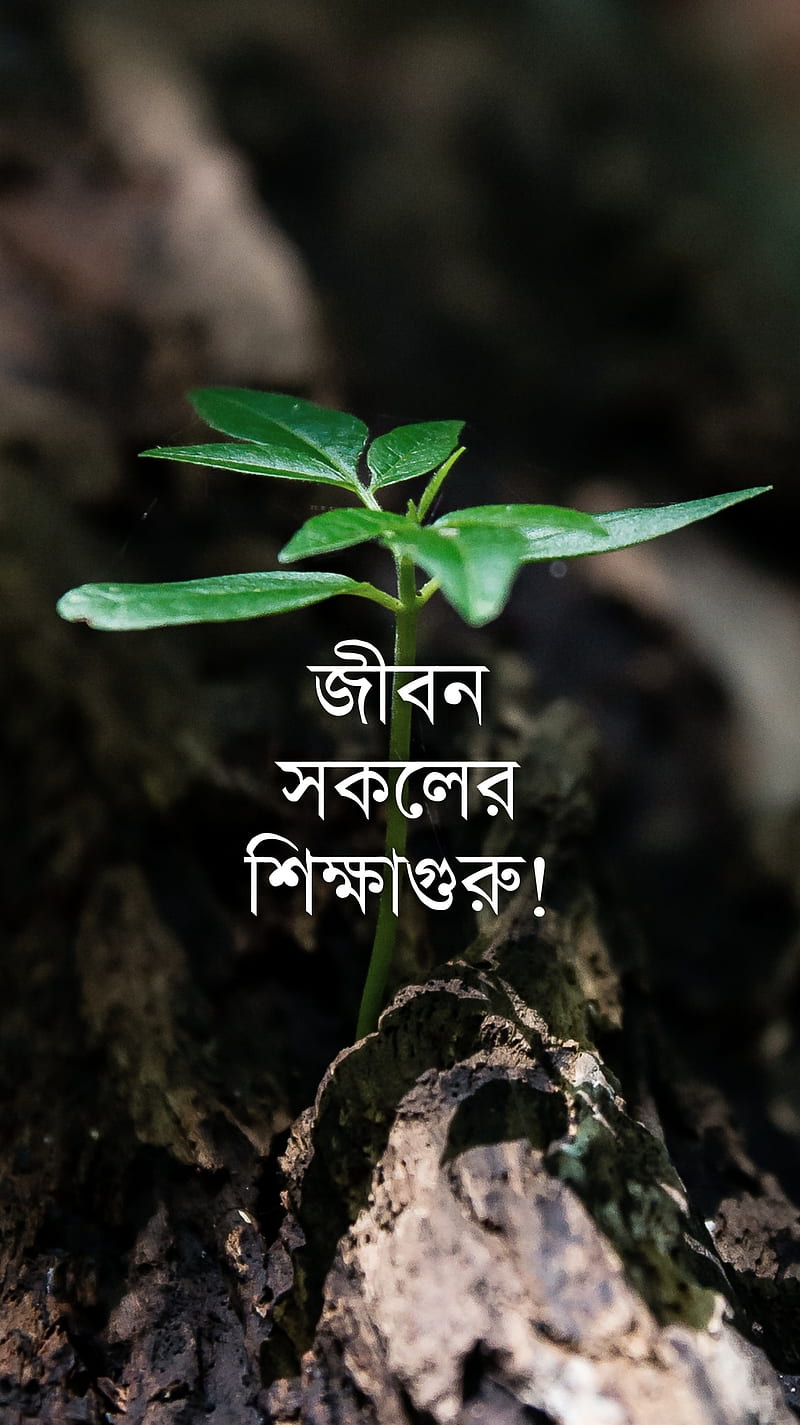 Bengali life quote, animals, bangla, bong, inspiration, nature, HD ...