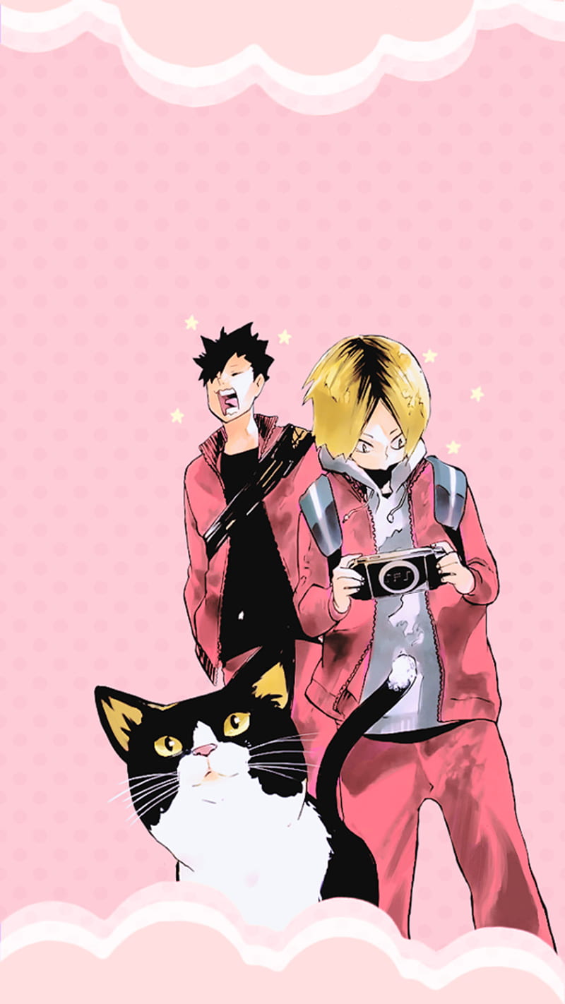 Kuroo Kenma and Cat, cat, kenma, kuroo, HD phone wallpaper