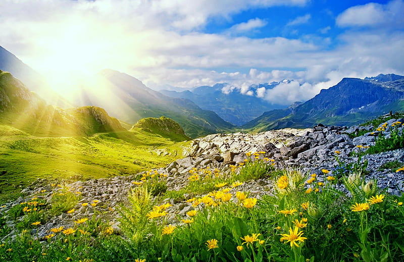 Morning in Tyrol, rocks, glow, grass, yellow, bonito, mountain ...