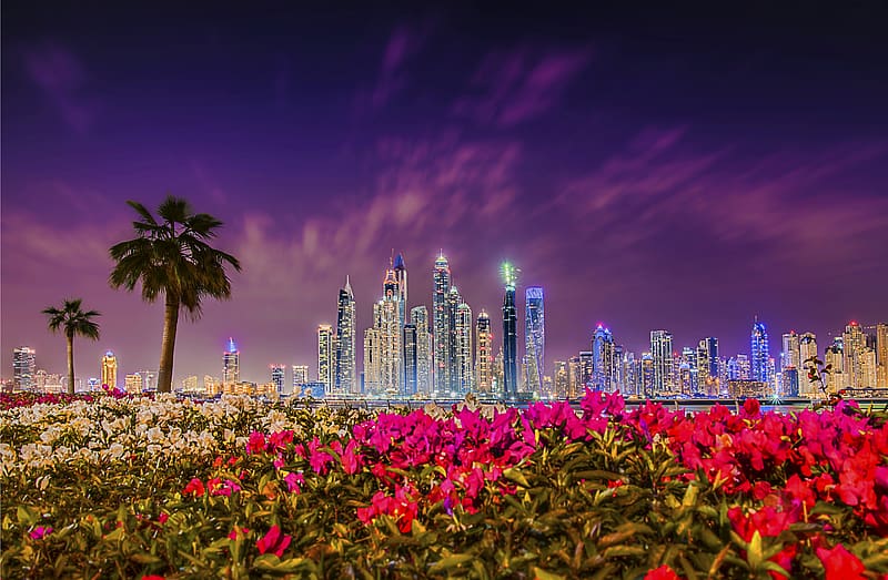 Cities, Night, City, Skyscraper, Building, Flower, Dubai, United Arab Emirates, HD wallpaper