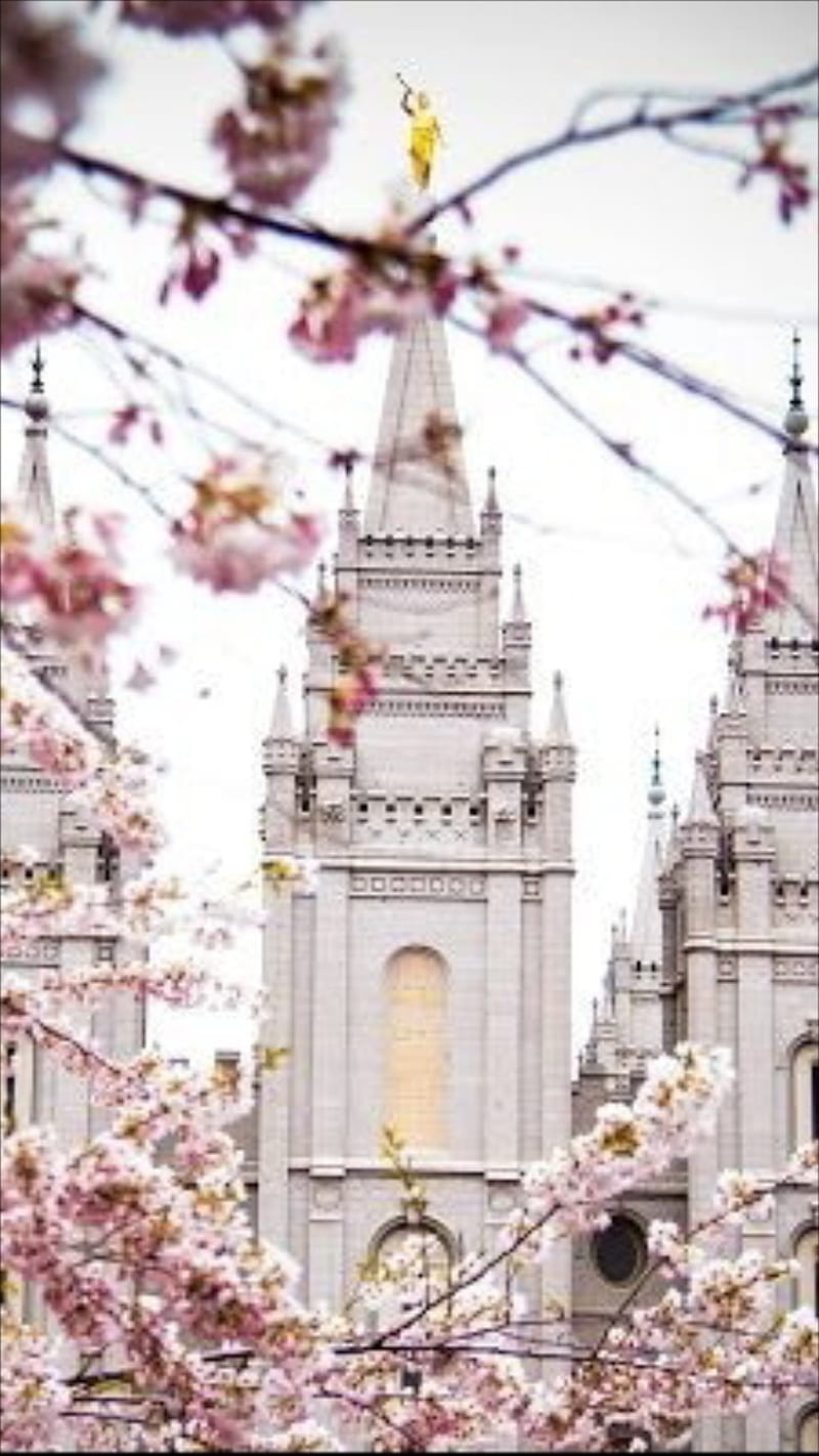 Templo de Salt Lake, fe, ilumina al mundo, la iglesia de jesucristo, la iglesia verdadera, lds, mormon, santidad, sud, templo sud, HD phone wallpaper