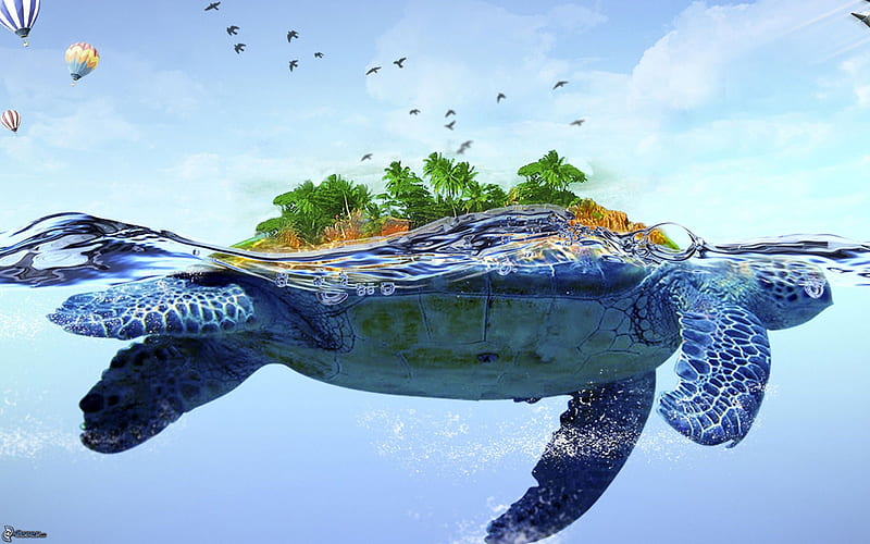 Turtle island, turtle, creative, sea, fantasy, green, bird, summer, island, blue, HD wallpaper