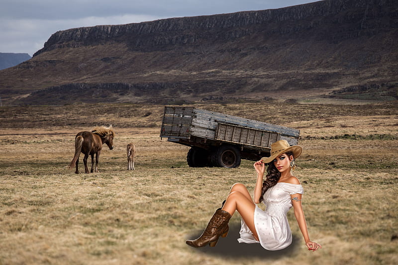 Work The Fields . ., hats, cowgirl, boots, ranch, horse, brunettes, fantasy, wagon, pony, field, western, HD wallpaper