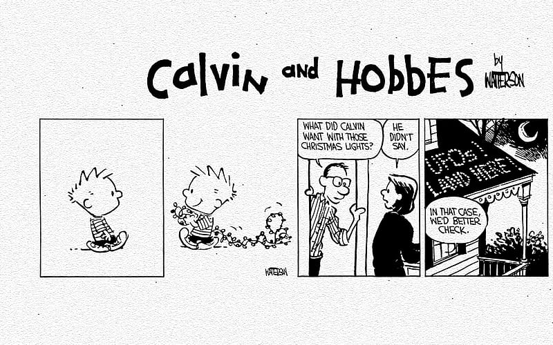 Calvin and Hobbes Christmas Lights, ask, calvin, dad, smug, here, xmas, lights, land, fail, calvin and hobbes, roof, ufos, holiday, christmas, hilliarious, mom, watterson, logo, parents, hobbes, ufo, HD wallpaper