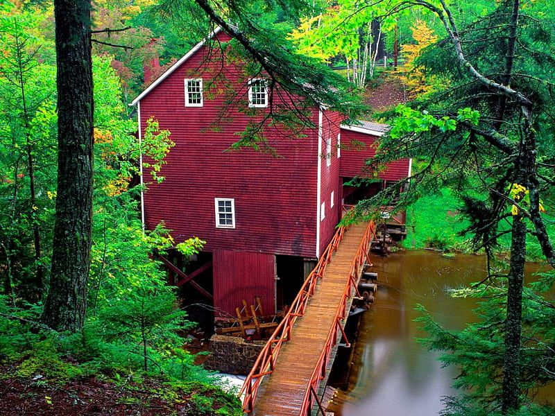 Grist mill museum, red, colorful, mill, bonito, grist mill, leaves, calm, grist, river, museum, forest, creek, trees, water, peaceful, summer, nature, HD wallpaper