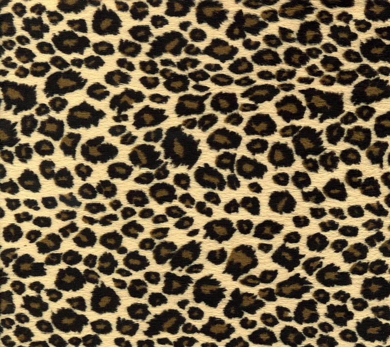 Leopard, abstract, skin, HD wallpaper | Peakpx