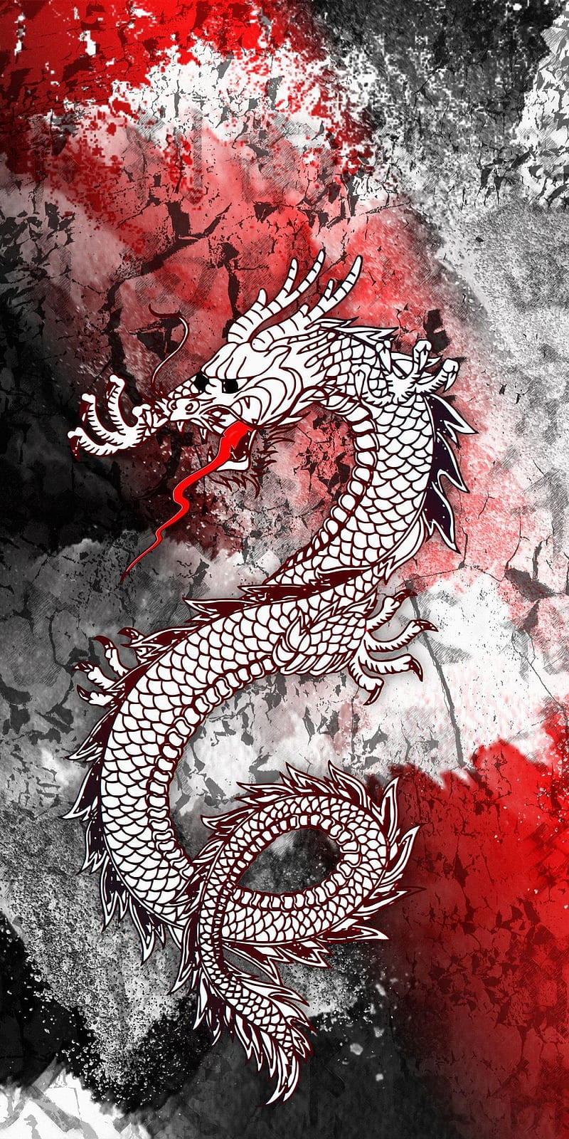 Dragon, red, white, black, snake, HD phone wallpaper | Peakpx