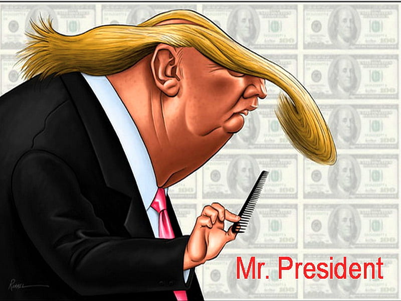 Mr. President, Donald Trump, election, President, caricature, HD wallpaper