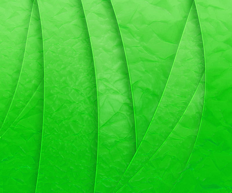 Leaf, foliage, green, HD wallpaper
