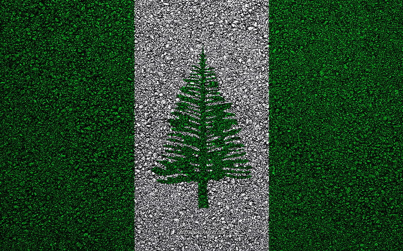 Flag of Norfolk Island, asphalt texture, flag on asphalt, Norfolk Island flag, Oceania, Norfolk Island, flags of Oceania countries, HD wallpaper