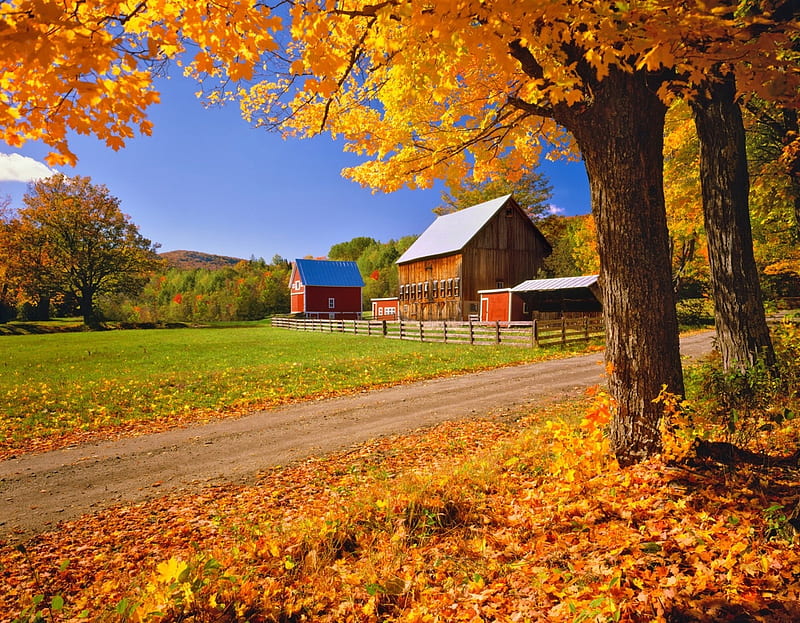 Vermont at Fall, farm, autumn, leaves, colors, season, trees, HD wallpaper