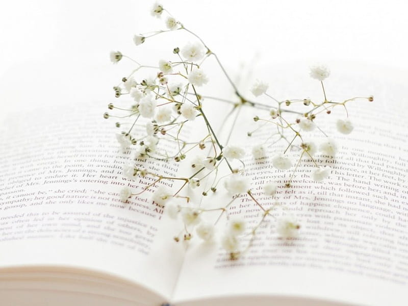 Open book, book, flowers, white, page, HD wallpaper