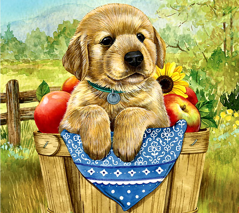 Harvest Helper FC, art, apples, bonito, pets, illustration, artwork, canine, animal, painting, wide screen, dogs, HD wallpaper
