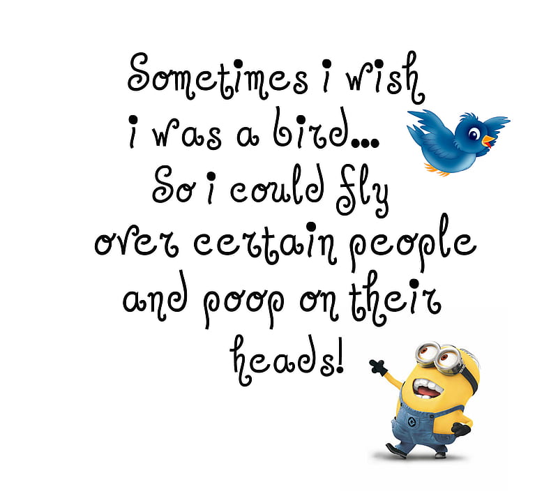 Sometimes, bird, cute, funny, minion, quote, saying, HD wallpaper | Peakpx