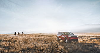 land rover discovery, land rover, suv, field, HD wallpaper