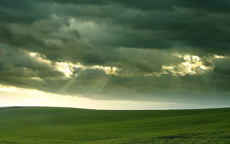 Field of Sky, sky, clouds, grass, field, HD wallpaper