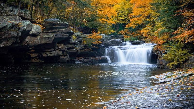 Bartlett Falls, Vermont, river, leaves, fall, trees, colors, rocks, cascade, stones, autumn, HD wallpaper