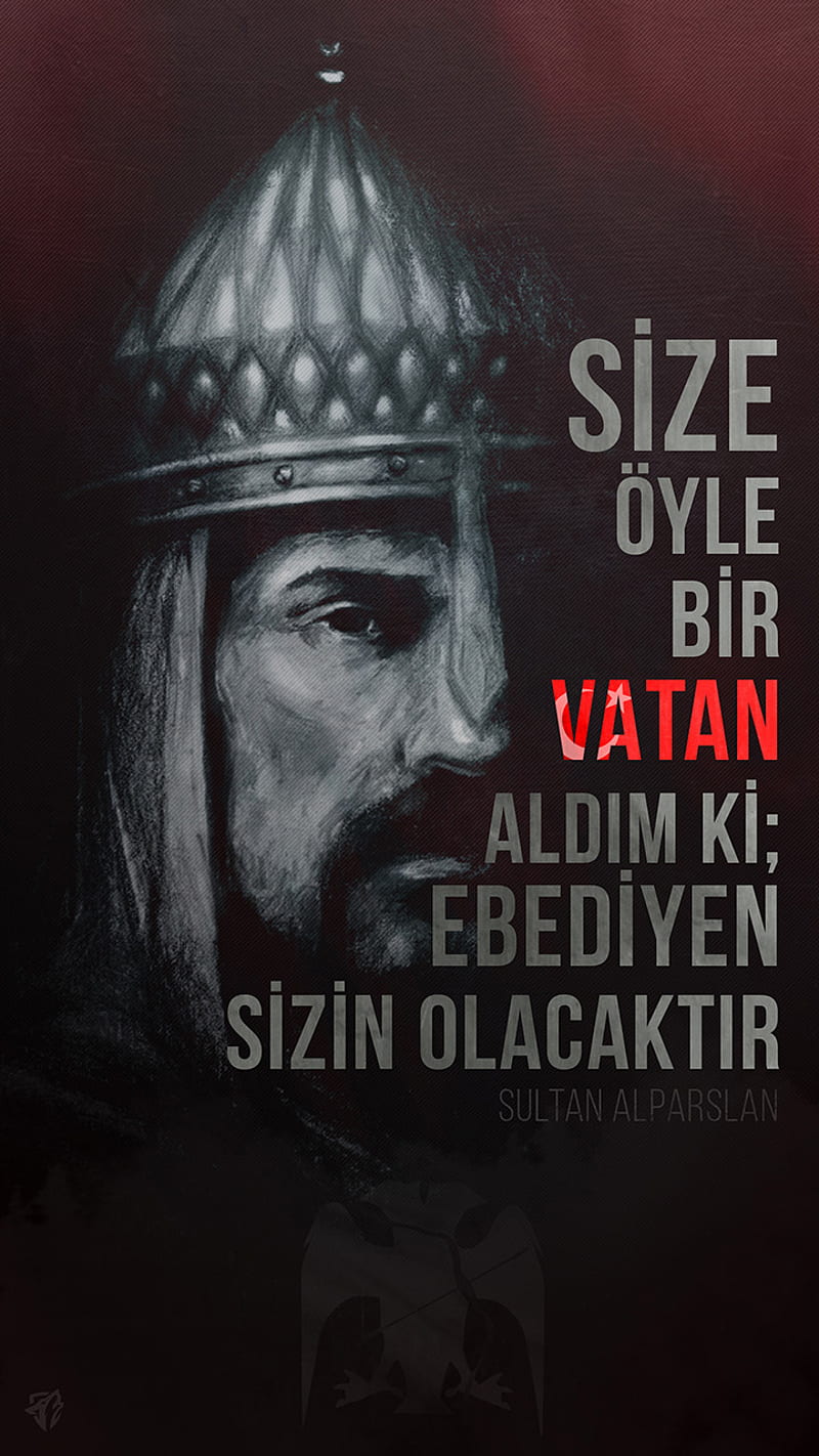 fatih sultan mehmet, asena, ataturk, atsiz, bozkurt, fatih sultan, gokturk, mustafa kemal, osmanli, ottoman, turan, turanci, turk, turkcu , turkic , turkiye, HD phone wallpaper