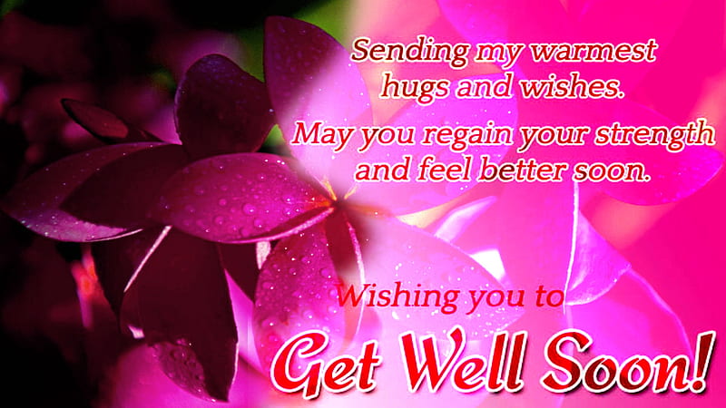 Get well soon, Sympathy, Message, Flowers, HD wallpaper