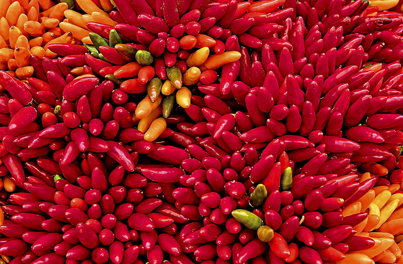 yellow and red chilis, HD wallpaper