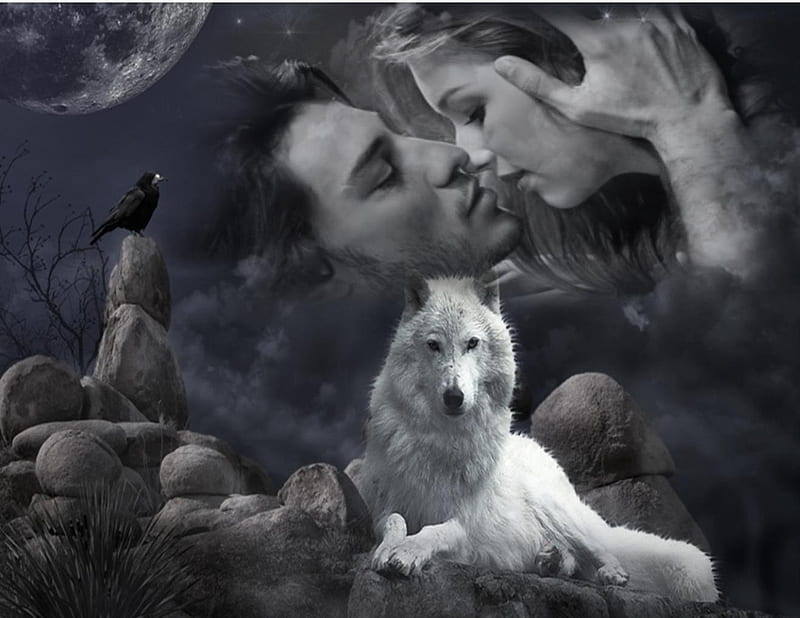Keeping watch, raven, wolf, couple, HD wallpaper