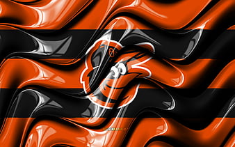 Baltimore Orioles High Definition Wallpaper 32952 - Baltana